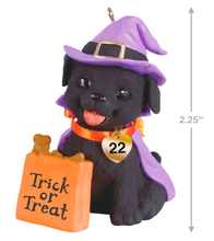 Load image into Gallery viewer, Puppy Love Howl-O-Ween 2022 Ornament