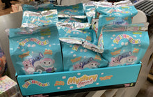 Load image into Gallery viewer, Series 2 Mystery Squad Scented Blind Bag

