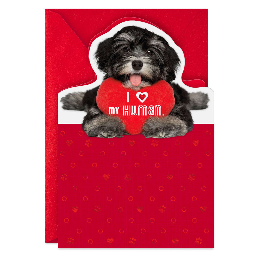 I Love My Human Valentine's Day Card From Dog