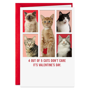 Cats Don't Care Funny Valentine's Day Card