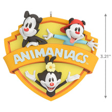 Load image into Gallery viewer, Animaniacs™ Zany to the Max! Ornament
