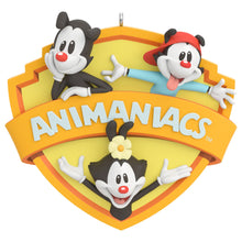 Load image into Gallery viewer, Animaniacs™ Zany to the Max! Ornament

