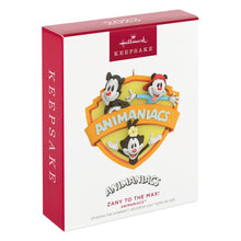 Load image into Gallery viewer, Animaniacs™ Zany to the Max! Ornament
