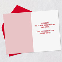 Load image into Gallery viewer, Cats Don&#39;t Care Funny Valentine&#39;s Day Card
