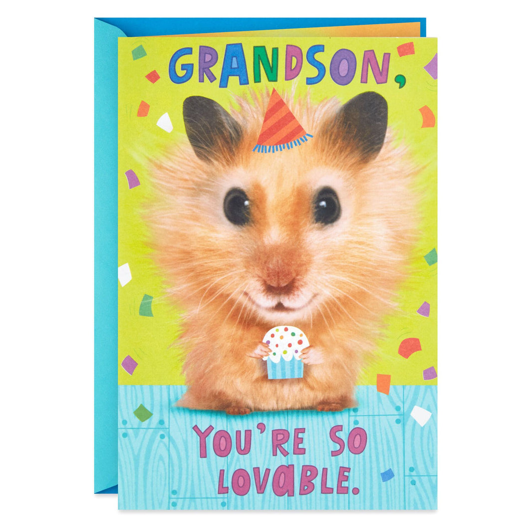 Hamster and Cupcake Birthday Card for Grandson