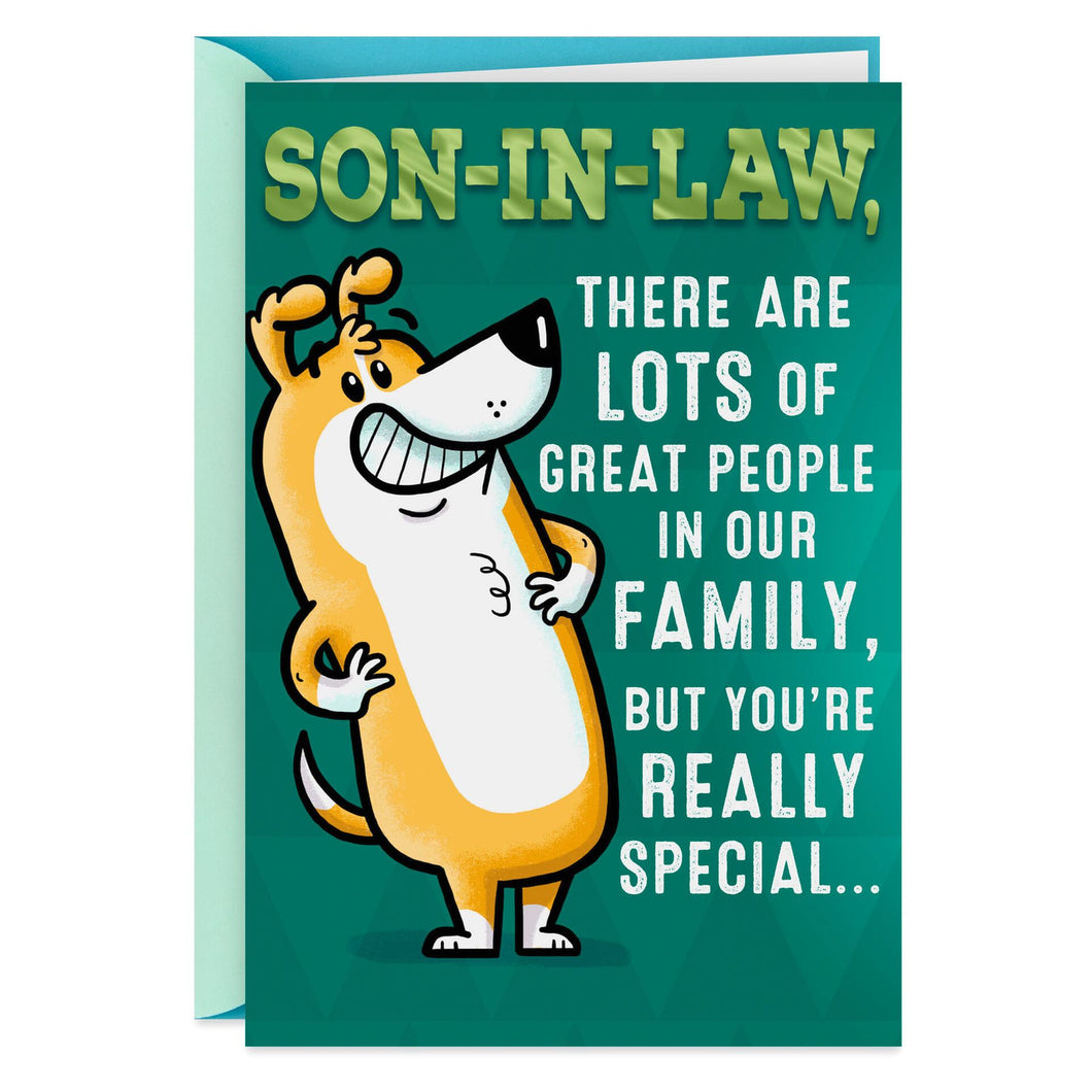 You're Special Funny Birthday Card for Son-in-Law